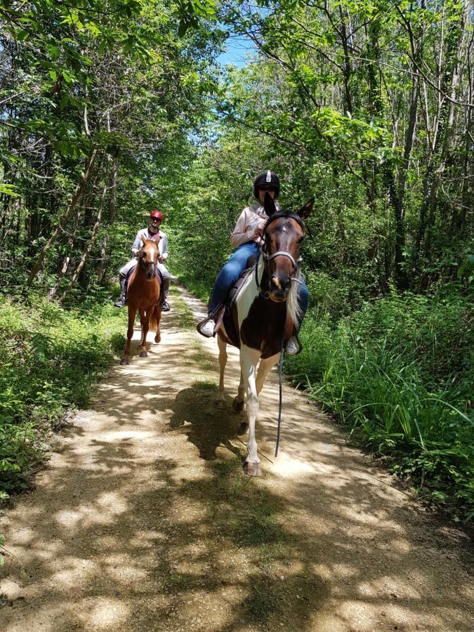 Gite Equestre Domaine Des Crins - Monpazier Capdrot Kültér fotó
