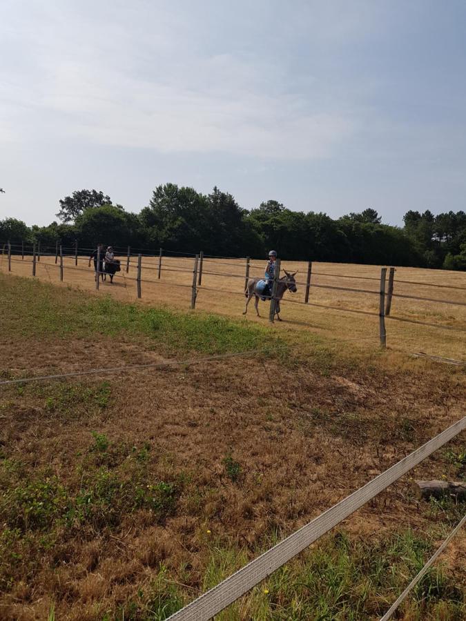 Gite Equestre Domaine Des Crins - Monpazier Capdrot Kültér fotó