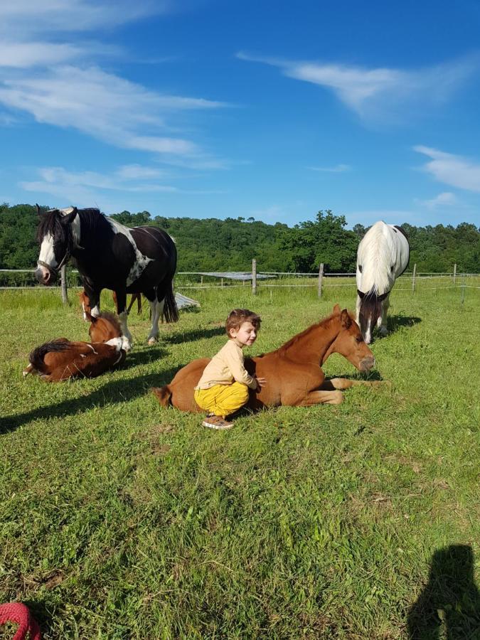 Gite Equestre Domaine Des Crins - Monpazier Capdrot Kültér fotó