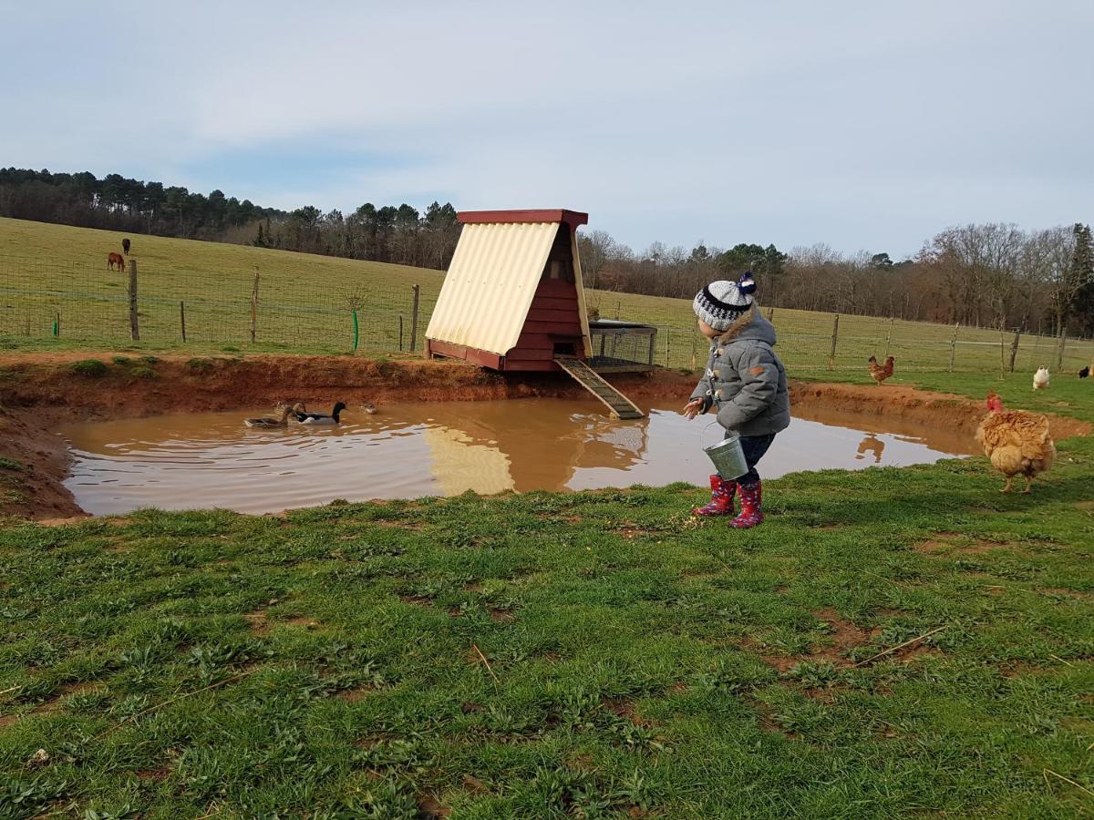 Gite Equestre Domaine Des Crins - Monpazier Capdrot Kültér fotó