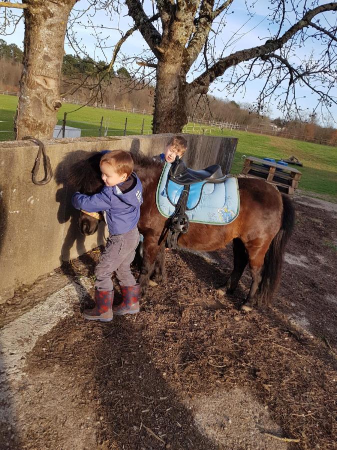 Gite Equestre Domaine Des Crins - Monpazier Capdrot Kültér fotó