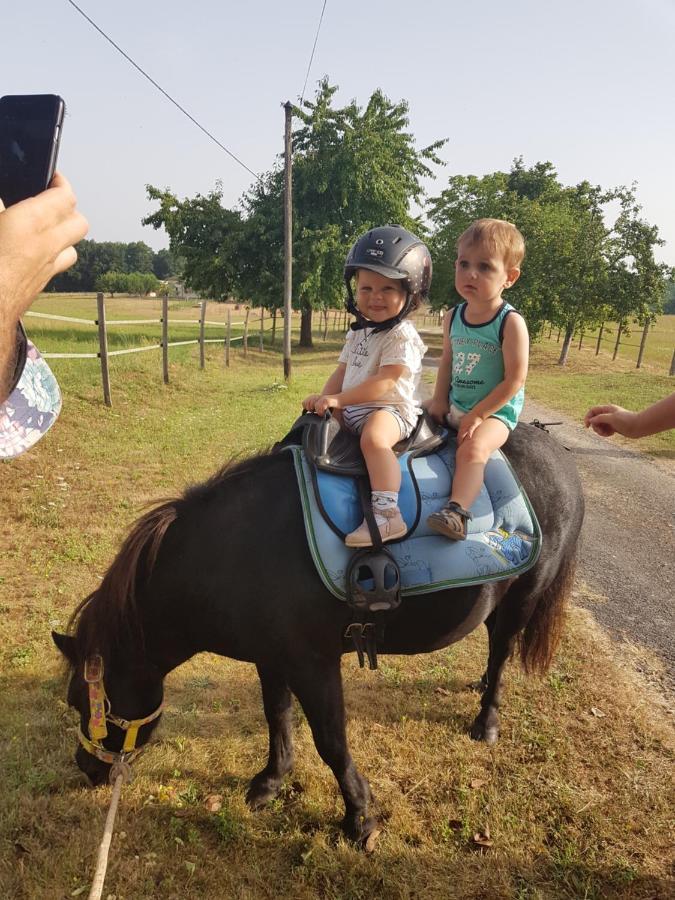 Gite Equestre Domaine Des Crins - Monpazier Capdrot Kültér fotó