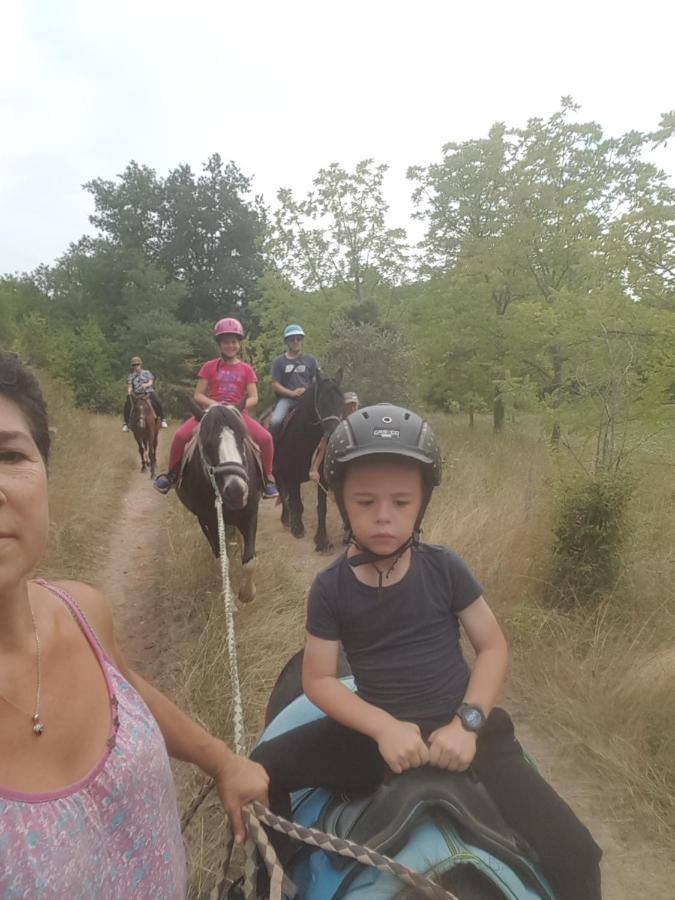 Gite Equestre Domaine Des Crins - Monpazier Capdrot Kültér fotó