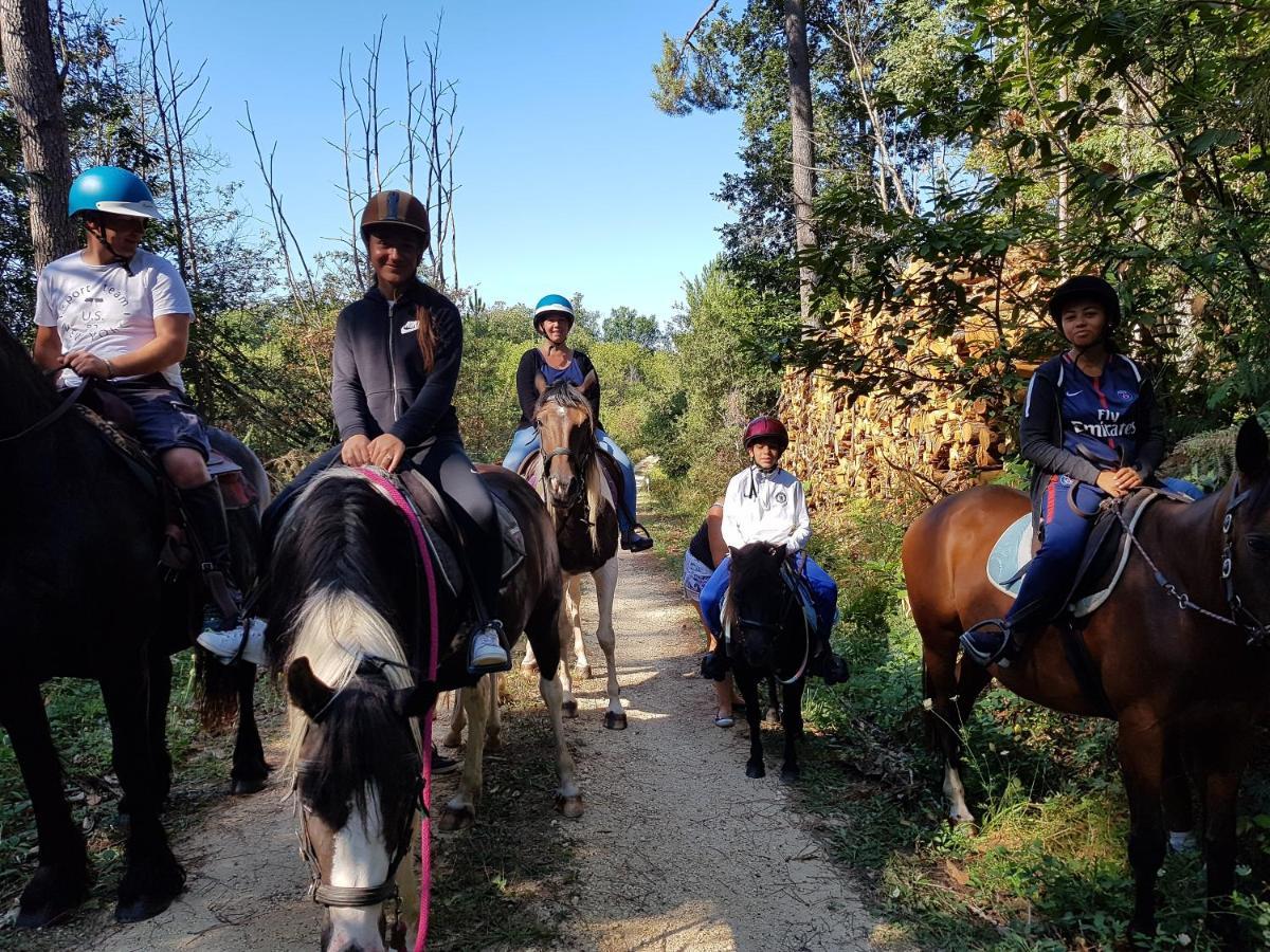 Gite Equestre Domaine Des Crins - Monpazier Capdrot Kültér fotó
