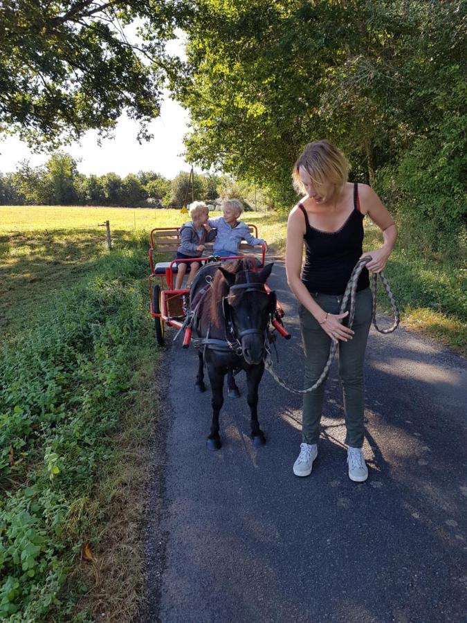 Gite Equestre Domaine Des Crins - Monpazier Capdrot Kültér fotó