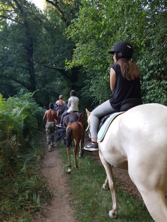 Gite Equestre Domaine Des Crins - Monpazier Capdrot Kültér fotó