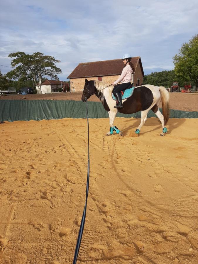 Gite Equestre Domaine Des Crins - Monpazier Capdrot Kültér fotó