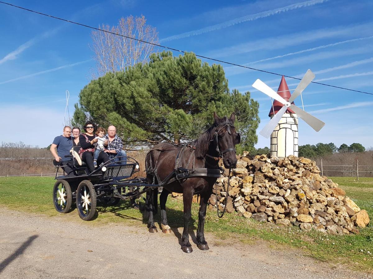 Gite Equestre Domaine Des Crins - Monpazier Capdrot Kültér fotó