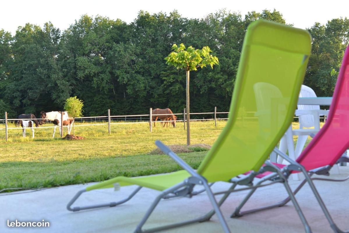 Gite Equestre Domaine Des Crins - Monpazier Capdrot Kültér fotó